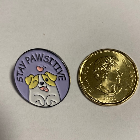Jewelry - COPY - A cute pin stating “ STAY PAWSITIVE “ 🐾🐾
